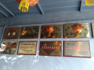 jiangzhang